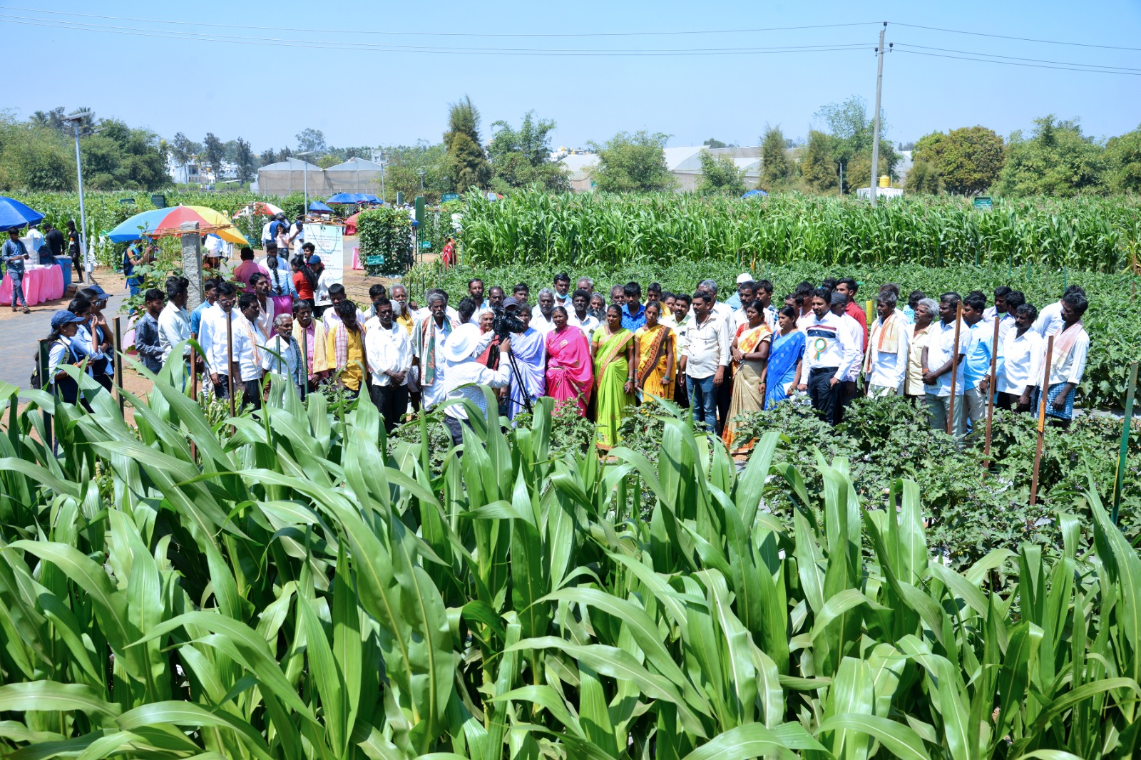 ICAR-Indian Institute of Horticultural Research