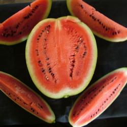 Water Melon varieties