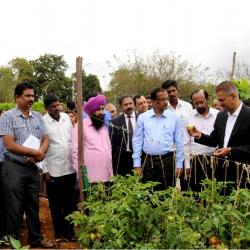  Field day on Improved vegetable varieties