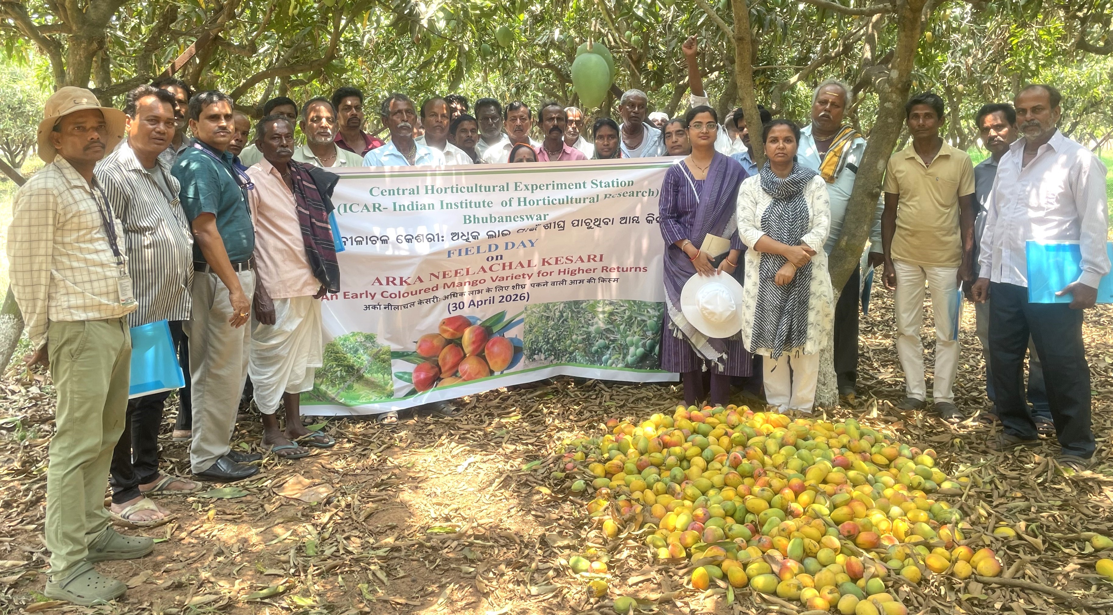 CHES, Bhubaneswar organized a field day on ‘Arka Neelachal Kesari - An early coloured mango variety’ on 30 April 2026