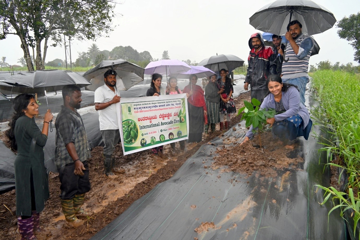 ICAR-IIHR CHES, Chettalli Celebrates World Avocado Day 2026