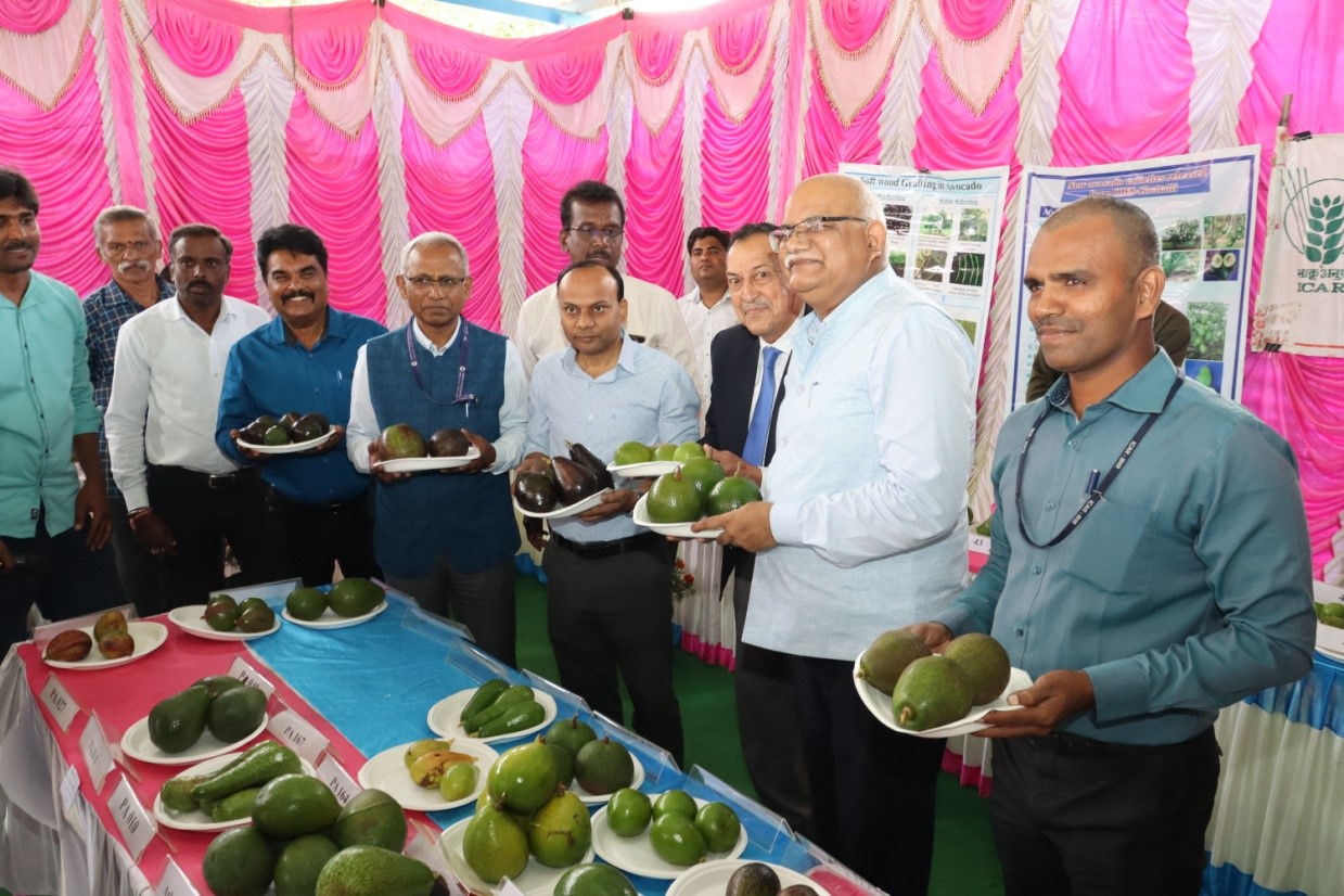 Field Day cum Diversity Fair on Avocado organized on 15th June, 2024 by  ICAR-IIHR-Central Horticultural Experiment Station, Chettalli 