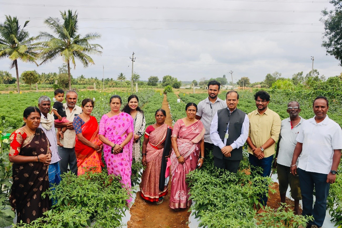 ICAR-IIHR Director Visits Farmers’ Fields at Jalige, Devanahalli Taluk and Interacts with Chilli and Rose Growers