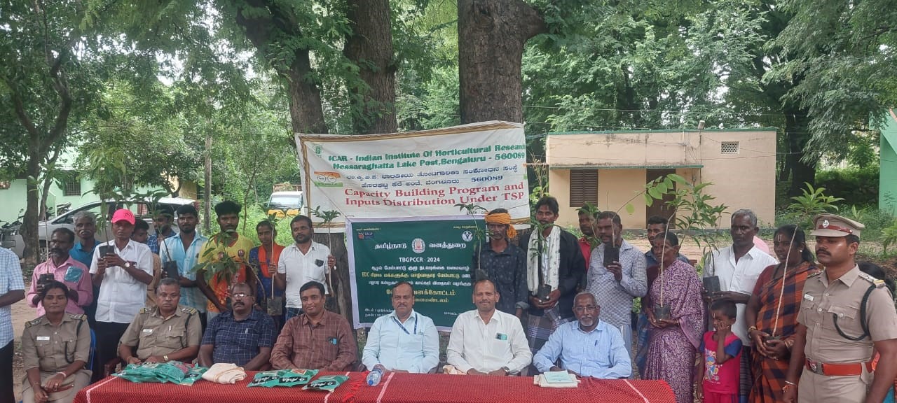 Training programme and input distribution organized at Odugathur Village, Vellore District of Tamil Nadu on 12.10.2024 as part of TSP